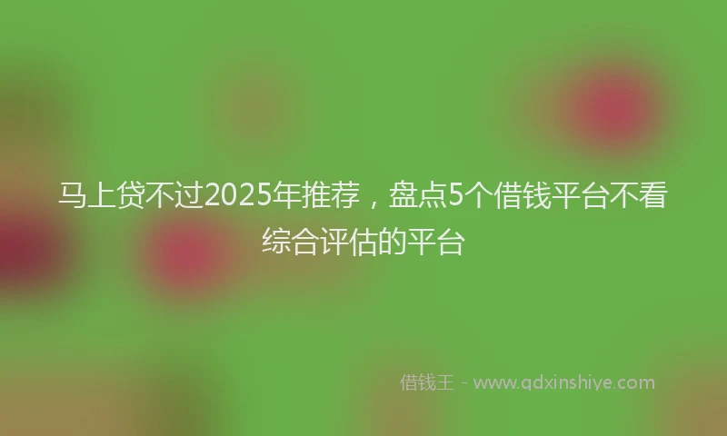 马上贷不过2025年推荐，盘点5个借钱平台不看综合评估的平台