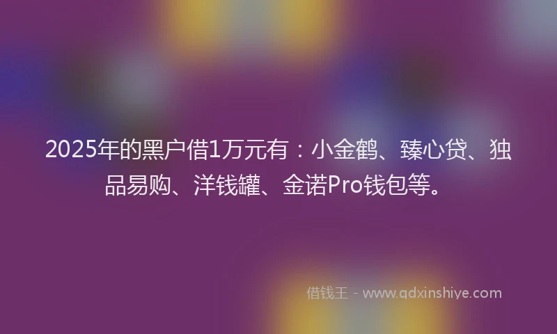 2025年的黑户借1万元有：小金鹤、臻心贷、独品易购、洋钱罐、金诺Pro钱包等。
