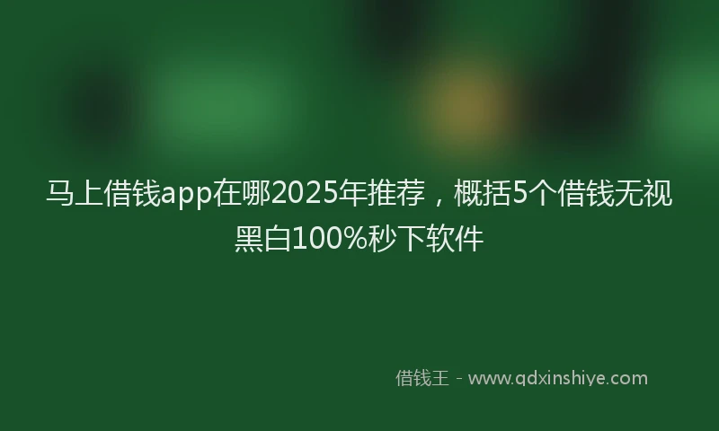 马上借钱app在哪2025年推荐，概括5个借钱无视黑白100%秒下软件