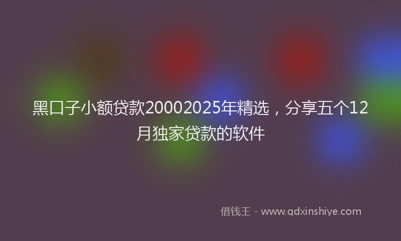 黑口子小额贷款20002025年精选，分享五个12月独家贷款的软件