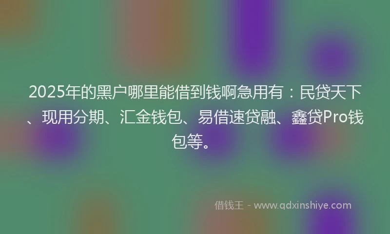 2025年的黑户哪里能借到钱啊急用有：民贷天下、现用分期、汇金钱包、易借速贷融、鑫贷Pro钱包等。