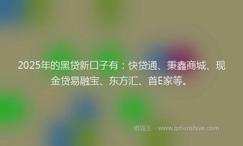 2025年的黑贷新口子有：快贷通、秉鑫商城、现金贷易融宝、东方汇、首E家等。