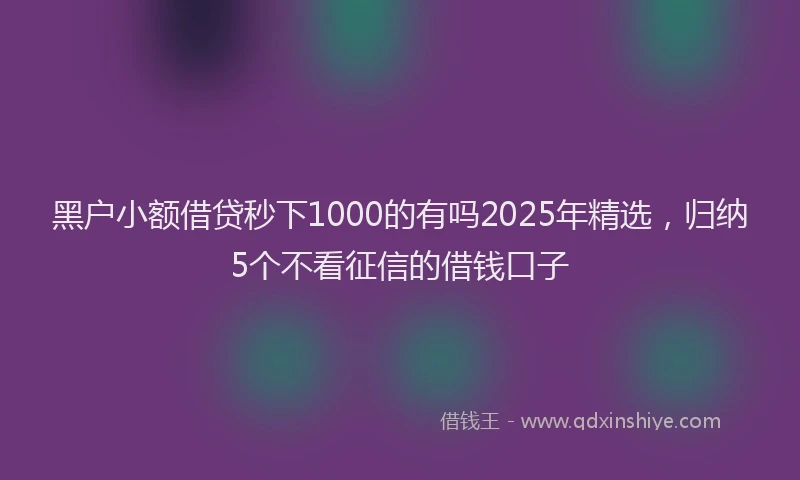 黑户小额借贷秒下1000的有吗2025年精选，归纳5个不看征信的借钱口子