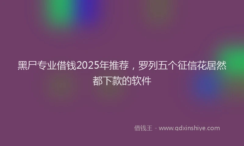 黑尸专业借钱2025年推荐，罗列五个征信花居然都下款的软件