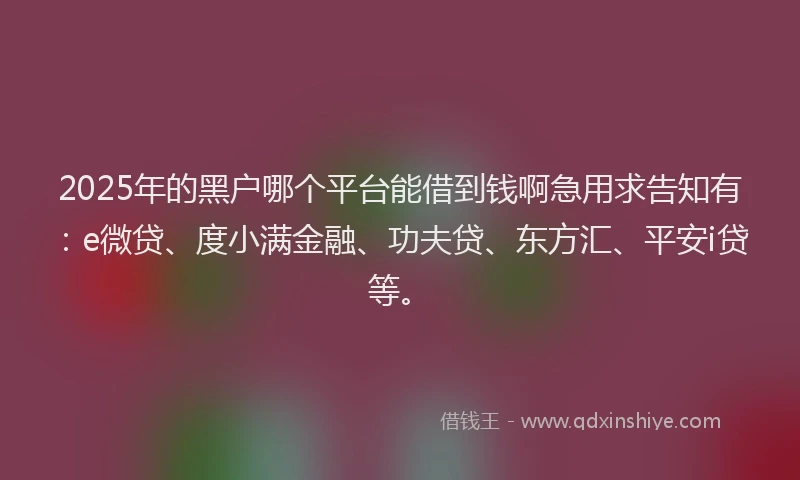 2025年的黑户哪个平台能借到钱啊急用求告知有：e微贷、度小满金融、功夫贷、东方汇、平安i贷等。