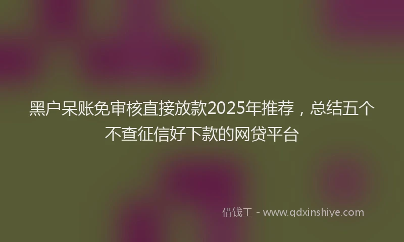 黑户呆账免审核直接放款2025年推荐，总结五个不查征信好下款的网贷平台