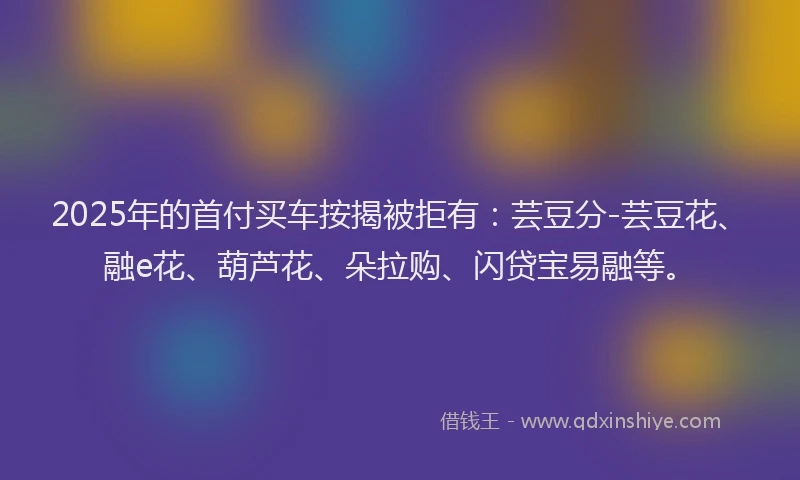 2025年的首付买车按揭被拒有：芸豆分-芸豆花、融e花、葫芦花、朵拉购、闪贷宝易融等。