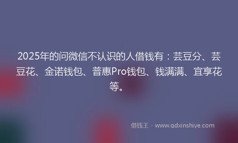 2025年的问微信不认识的人借钱有：芸豆分、芸豆花、金诺钱包、普惠Pro钱包、钱满满、宜享花等。