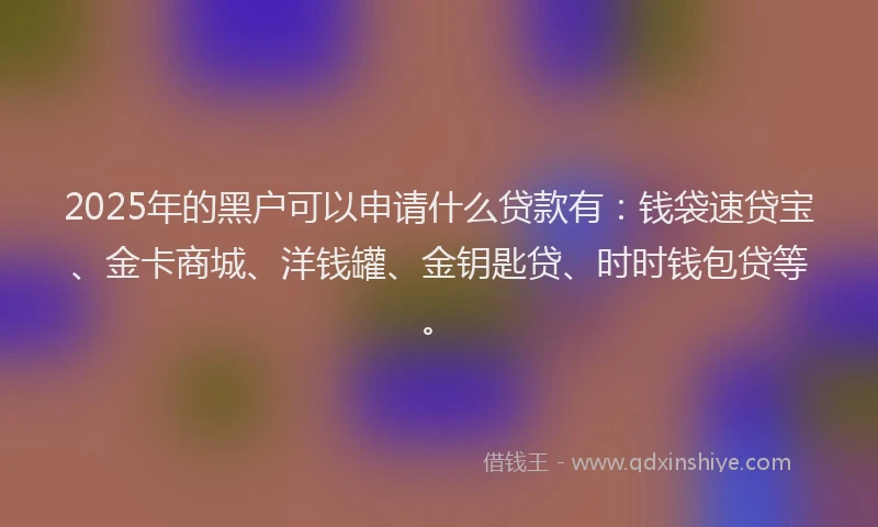 2025年的黑户可以申请什么贷款有：钱袋速贷宝、金卡商城、洋钱罐、金钥匙贷、时时钱包贷等。