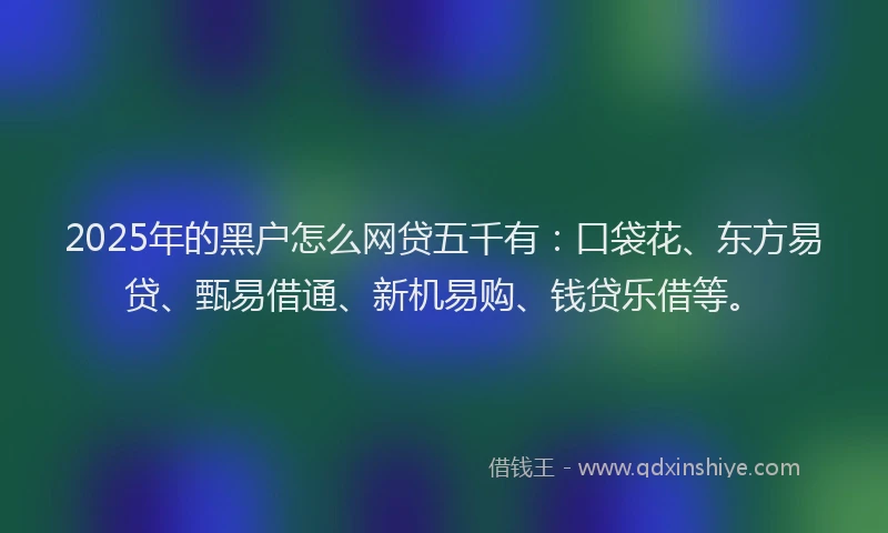 2025年的黑户怎么网贷五千有：口袋花、东方易贷、甄易借通、新机易购、钱贷乐借等。