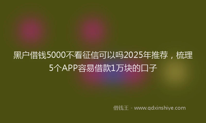 黑户借钱5000不看征信可以吗2025年推荐，梳理5个APP容易借款1万块的口子