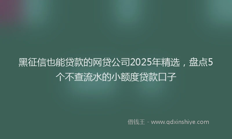 黑征信也能贷款的网贷公司2025年精选，盘点5个不查流水的小额度贷款口子