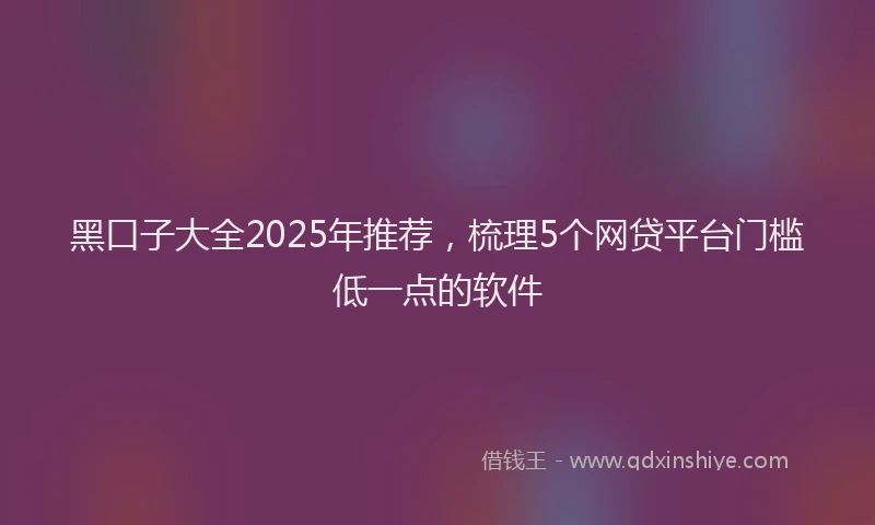 黑口子大全2025年推荐，梳理5个网贷平台门槛低一点的软件