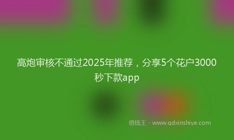 高炮审核不通过2025年推荐，分享5个花户3000秒下款app