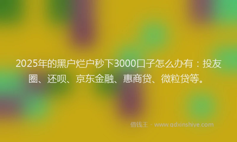 2025年的黑户烂户秒下3000口子怎么办有：投友圈、还呗、京东金融、惠商贷、微粒贷等。