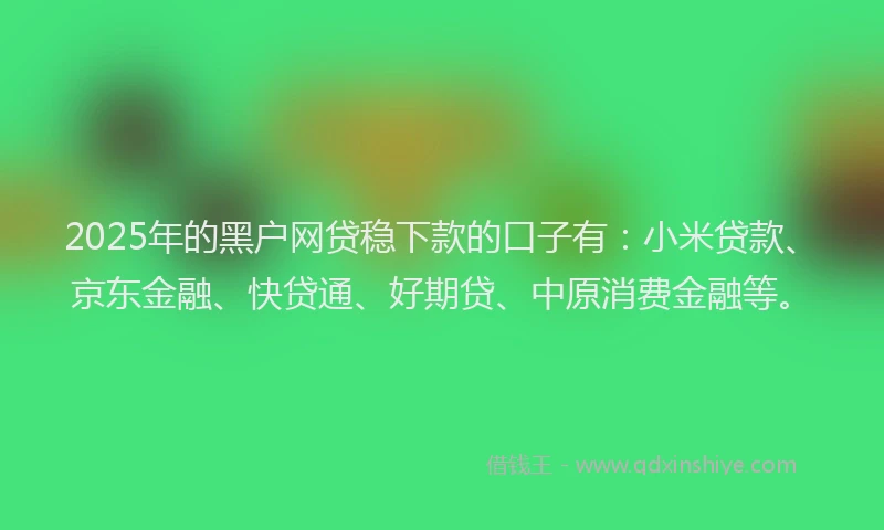 2025年的黑户网贷稳下款的口子有：小米贷款、京东金融、快贷通、好期贷、中原消费金融等。