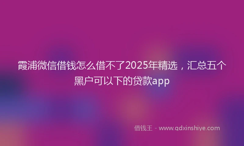 霞浦微信借钱怎么借不了2025年精选，汇总五个黑户可以下的贷款app