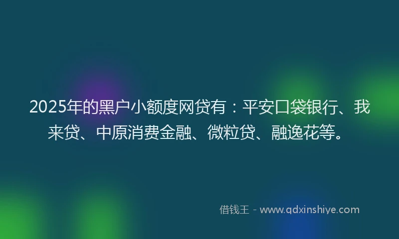 2025年的黑户小额度网贷有：平安口袋银行、我来贷、中原消费金融、微粒贷、融逸花等。