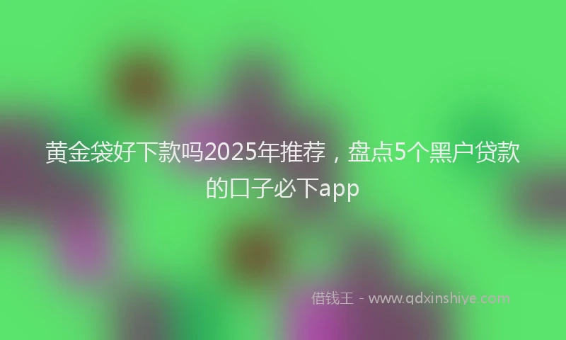 黄金袋好下款吗2025年推荐，盘点5个黑户贷款的口子必下app