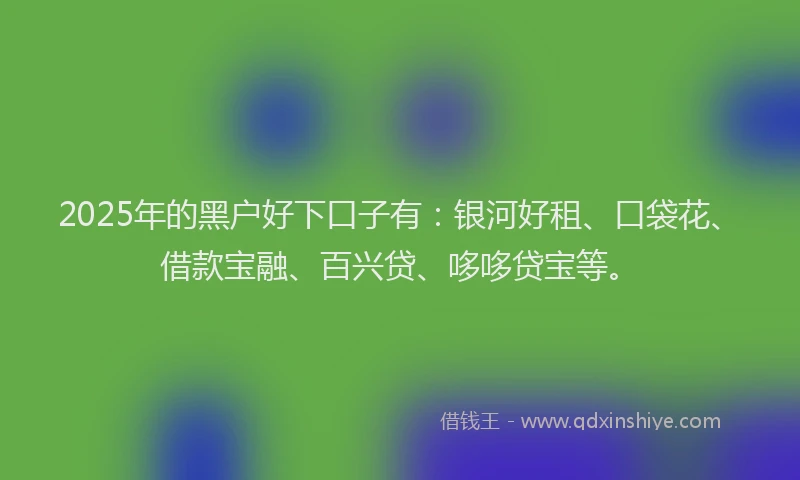 2025年的黑户好下口子有：银河好租、口袋花、借款宝融、百兴贷、哆哆贷宝等。