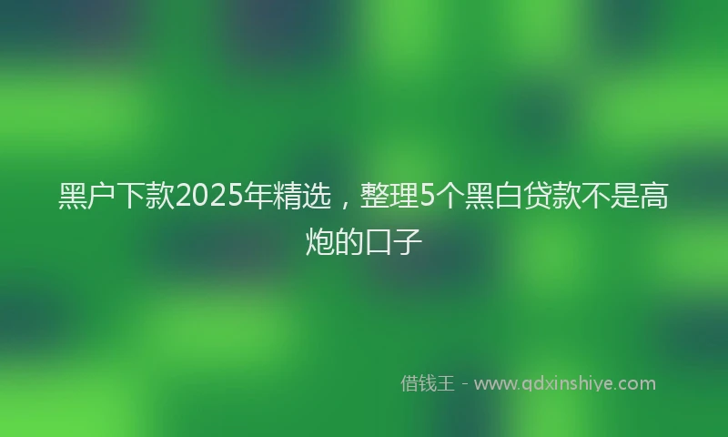 黑户下款2025年精选，整理5个黑白贷款不是高炮的口子