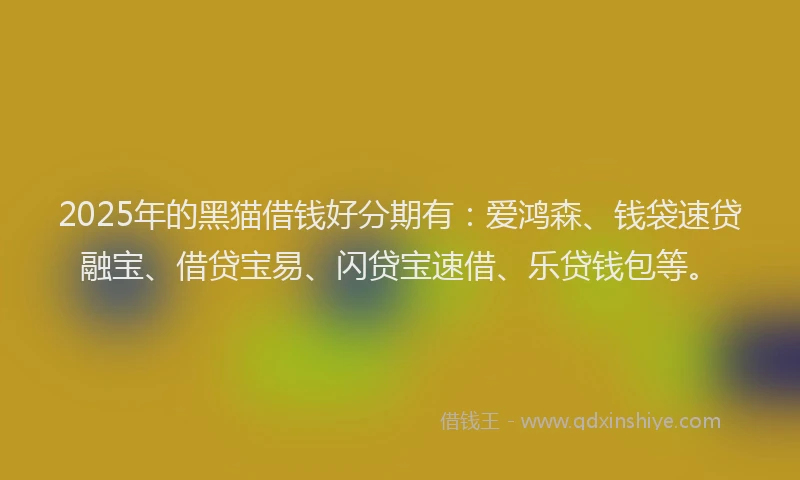 2025年的黑猫借钱好分期有：爱鸿森、钱袋速贷融宝、借贷宝易、闪贷宝速借、乐贷钱包等。