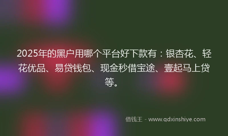 2025年的黑户用哪个平台好下款有：银杏花、轻花优品、易贷钱包、现金秒借宝途、壹起马上贷等。
