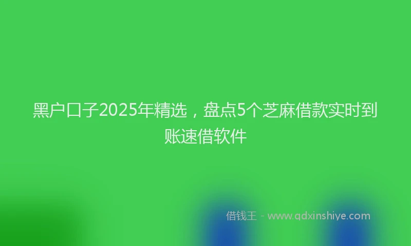黑户口子2025年精选，盘点5个芝麻借款实时到账速借软件