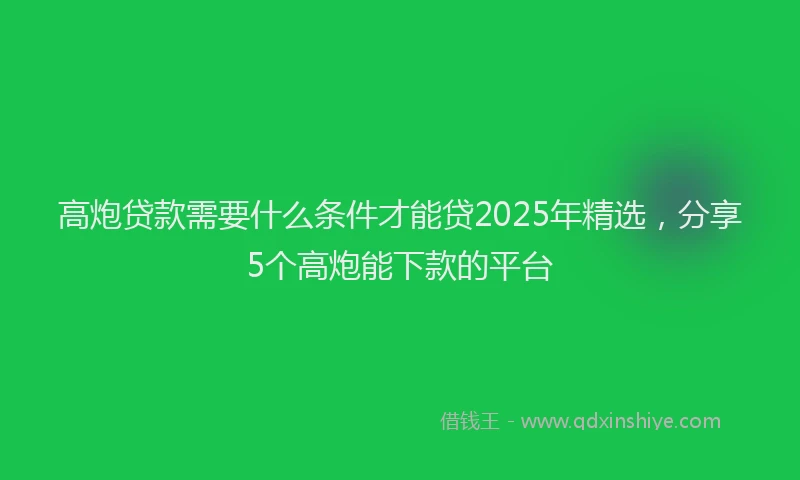 高炮贷款需要什么条件才能贷2025年精选，分享5个高炮能下款的平台