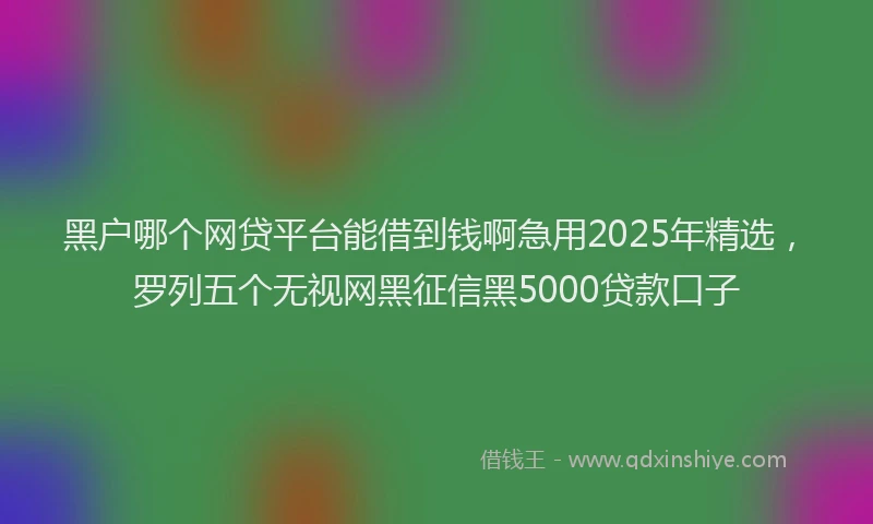 黑户哪个网贷平台能借到钱啊急用2025年精选，罗列五个无视网黑征信黑5000贷款口子