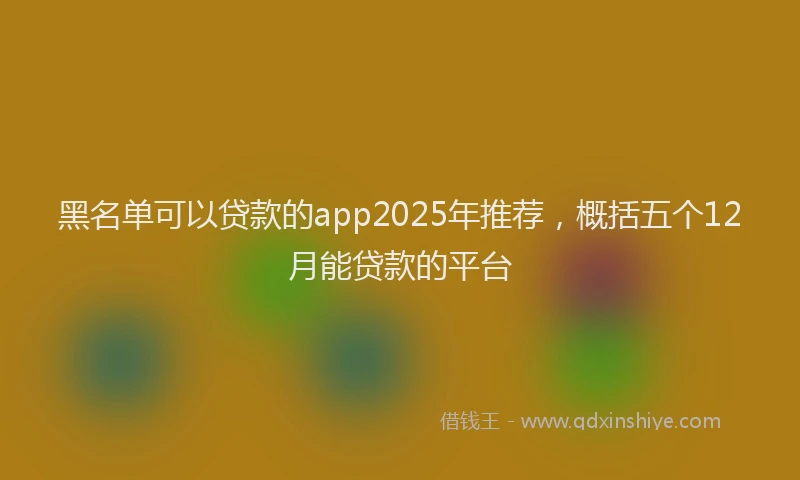 黑名单可以贷款的app2025年推荐，概括五个12月能贷款的平台