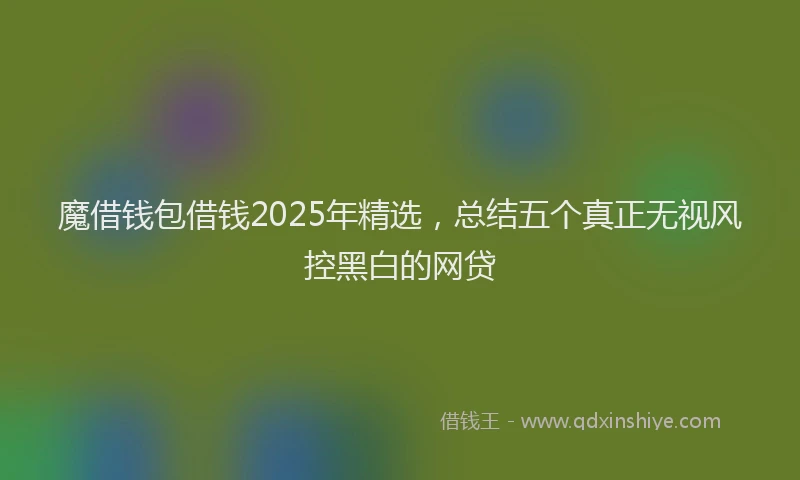 魔借钱包借钱2025年精选，总结五个真正无视风控黑白的网贷