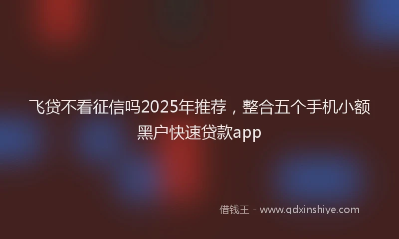 飞贷不看征信吗2025年推荐，整合五个手机小额黑户快速贷款app