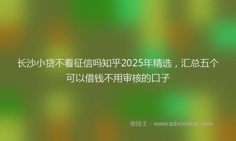 长沙小贷不看征信吗知乎2025年精选，汇总五个可以借钱不用审核的口子