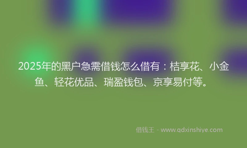 2025年的黑户急需借钱怎么借有:桔享花、小金鱼、轻花优品、瑞盈钱包、京享易付等。