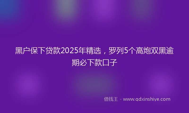 黑户保下贷款2025年精选，罗列5个高炮双黑逾期必下款口子