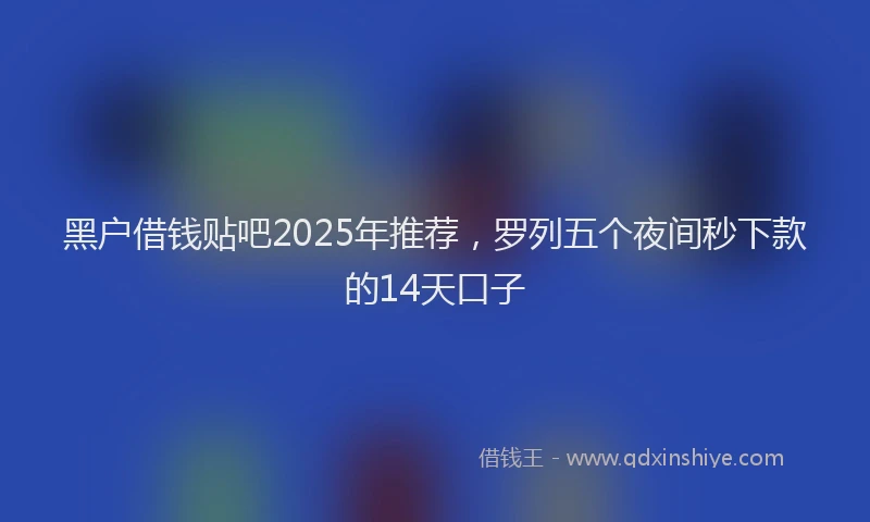 黑户借钱贴吧2025年推荐，罗列五个夜间秒下款的14天口子