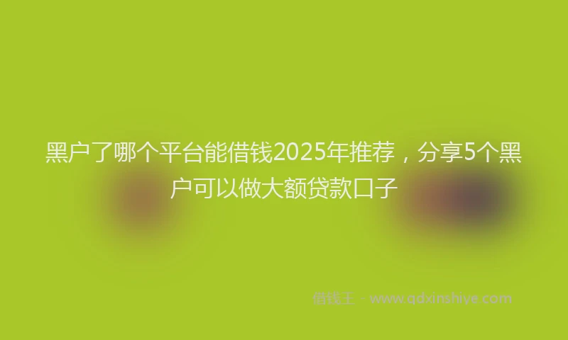 黑户了哪个平台能借钱2025年推荐，分享5个黑户可以做大额贷款口子