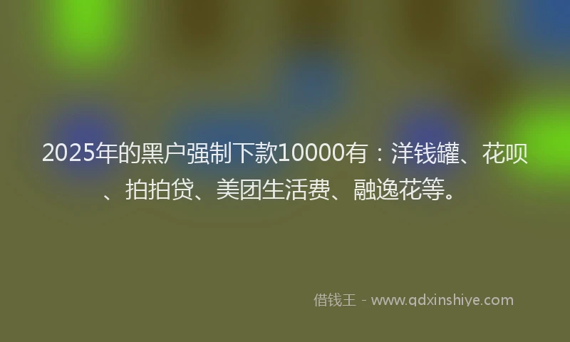 2025年的黑户强制下款10000有：洋钱罐、花呗、拍拍贷、美团生活费、融逸花等。