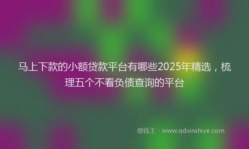 马上下款的小额贷款平台有哪些2025年精选，梳理五个不看负债查询的平台