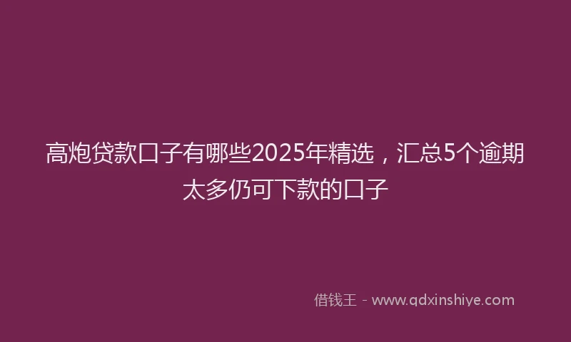 高炮贷款口子有哪些2025年精选，汇总5个逾期太多仍可下款的口子