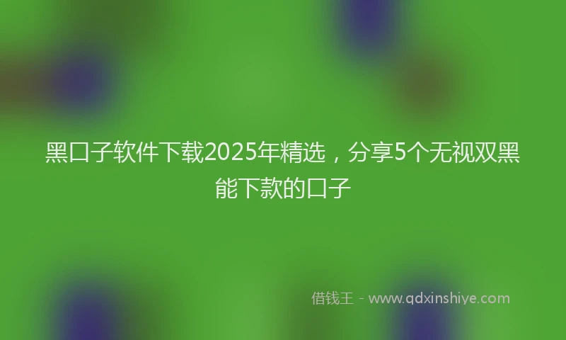 黑口子软件下载2025年精选，分享5个无视双黑能下款的口子