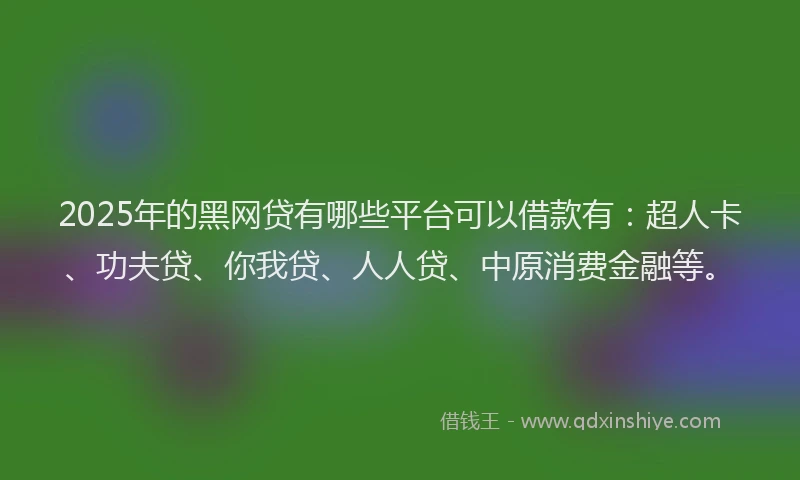 2025年的黑网贷有哪些平台可以借款有：超人卡、功夫贷、你我贷、人人贷、中原消费金融等。