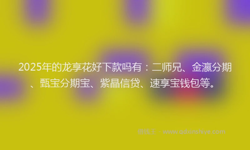 2025年的龙享花好下款吗有：二师兄、金瀛分期、甄宝分期宝、紫晶信贷、速享宝钱包等。