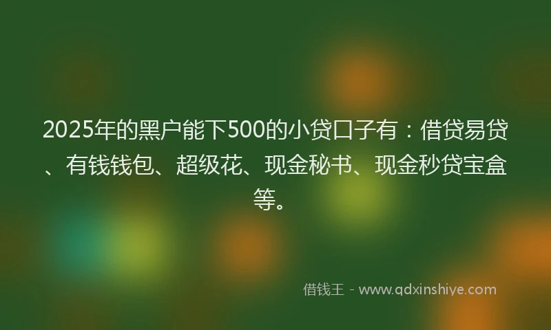 2025年的黑户能下500的小贷口子有：借贷易贷、有钱钱包、超级花、现金秘书、现金秒贷宝盒等。