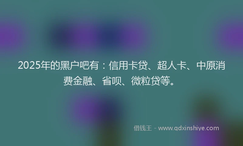 2025年的黑户吧有：信用卡贷、超人卡、中原消费金融、省呗、微粒贷等。