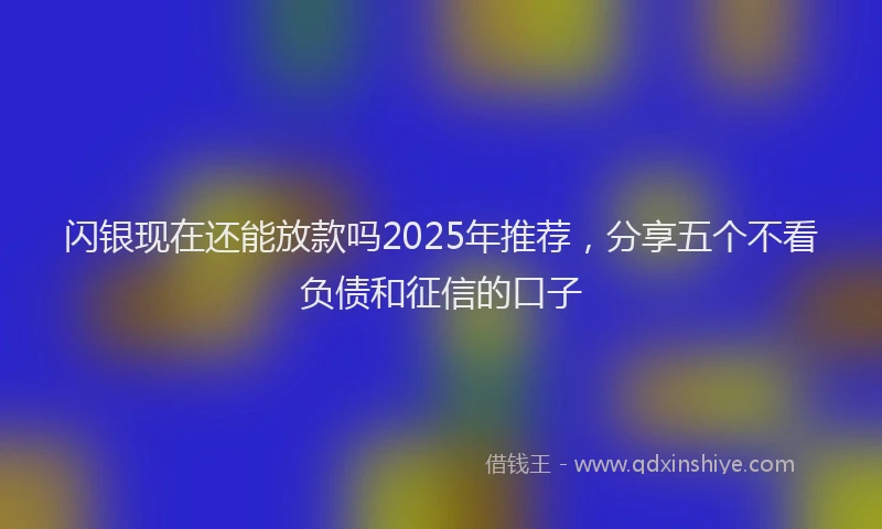 闪银现在还能放款吗2025年推荐，分享五个不看负债和征信的口子