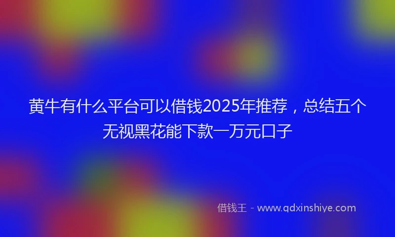 黄牛有什么平台可以借钱2025年推荐，总结五个无视黑花能下款一万元口子