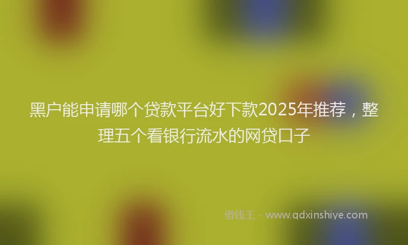 黑户能申请哪个贷款平台好下款2025年推荐，整理五个看银行流水的网贷口子