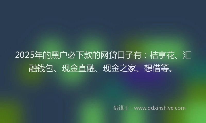 2025年的黑户必下款的网贷口子有：桔享花、汇融钱包、现金直融、现金之家、想借等。